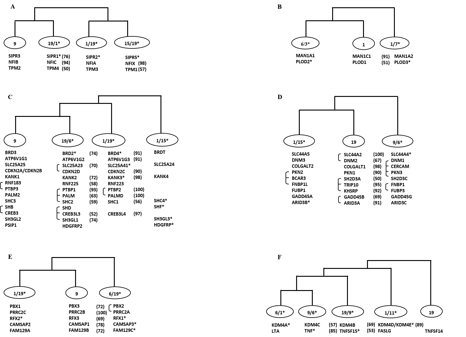 Topologies